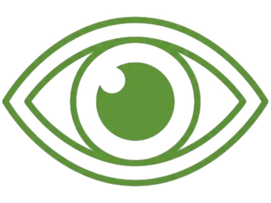 icon of an eye